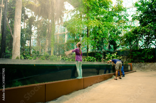 Flooded Forest in CosmoCaixa Barcelona, Catalonia, Spain