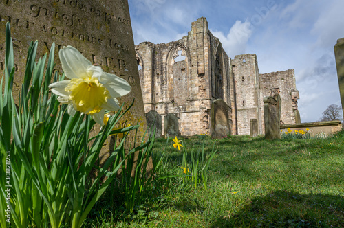 ruined church photo