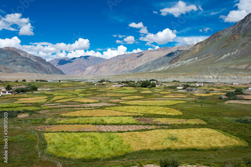 Zanskar  India - Aug 15 2019 - Beautiful scenic view from Between Karsha and Padum in Zanskar  Ladakh  Jammu and Kashmir  India.