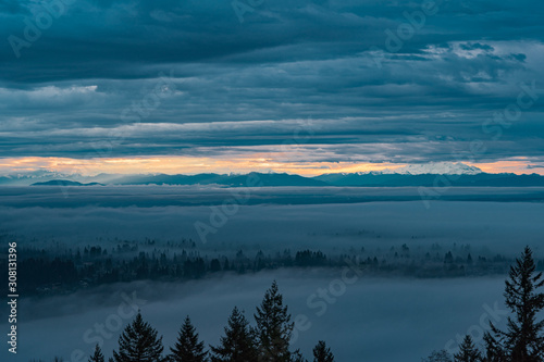 Fototapeta Naklejka Na Ścianę i Meble -  Trees just poking through early morning cloud cover in Fraser Valley