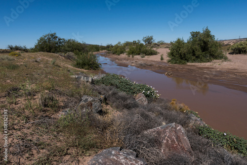 The western view of the Mimbres river in New Mexico.