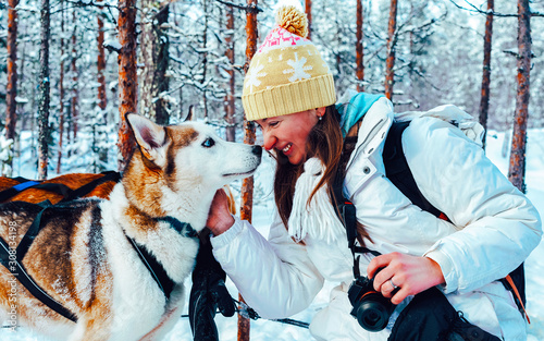 Woman with Husky family dog sled in winter Rovaniemi of Finland of Lapland. Person and Dogsled ride in Norway. Animal Sledding on Finnish farm, Christmas. Sleigh. Safari on sledge and Alaska landscape photo