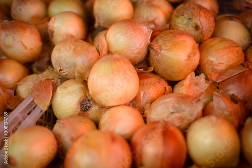 Onions for sale at the farmers market