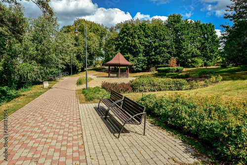 The avenue of city park at sunny day.