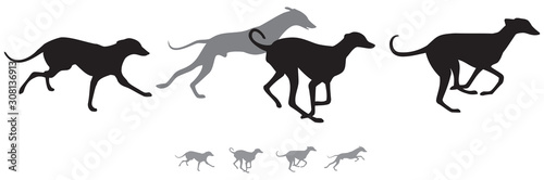 The hunting hound dogs run, variant 2 vector silhouettes