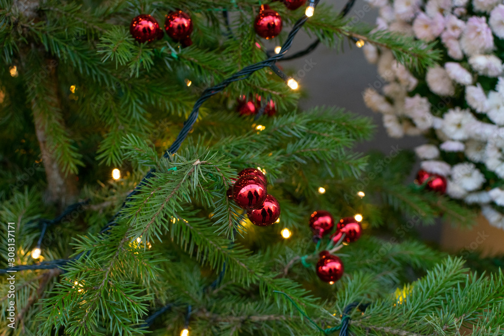Decorated Christmas tree on blurred background with natural daylight