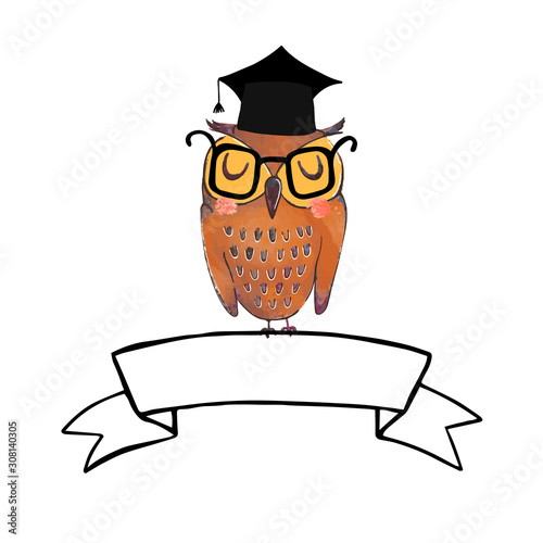 Vector colorful illustration of cute owl in graduate cap and ribbon banner photo