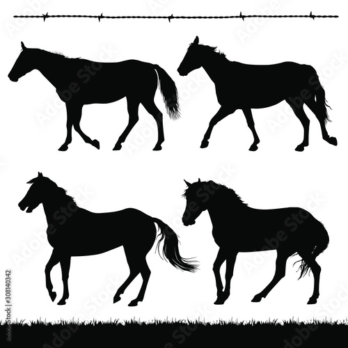Vector silhouettes of horses.