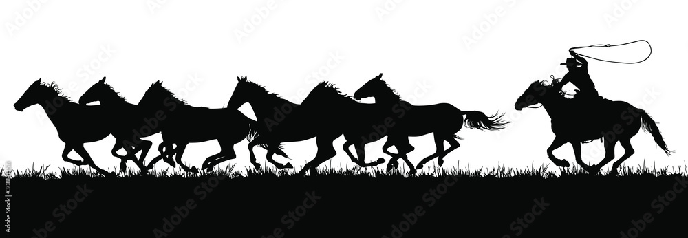 Obraz A vector silhouette of a cowboy chasing a herd of running horses.