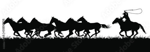 Fotografija A vector silhouette of a cowboy chasing a herd of running horses.