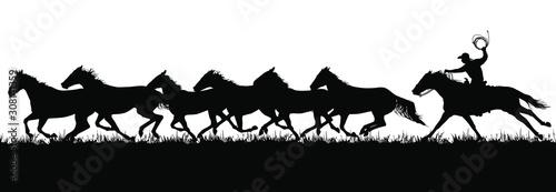 Fotografiet A vector silhouette of a cowboy chasing a herd of running horses.