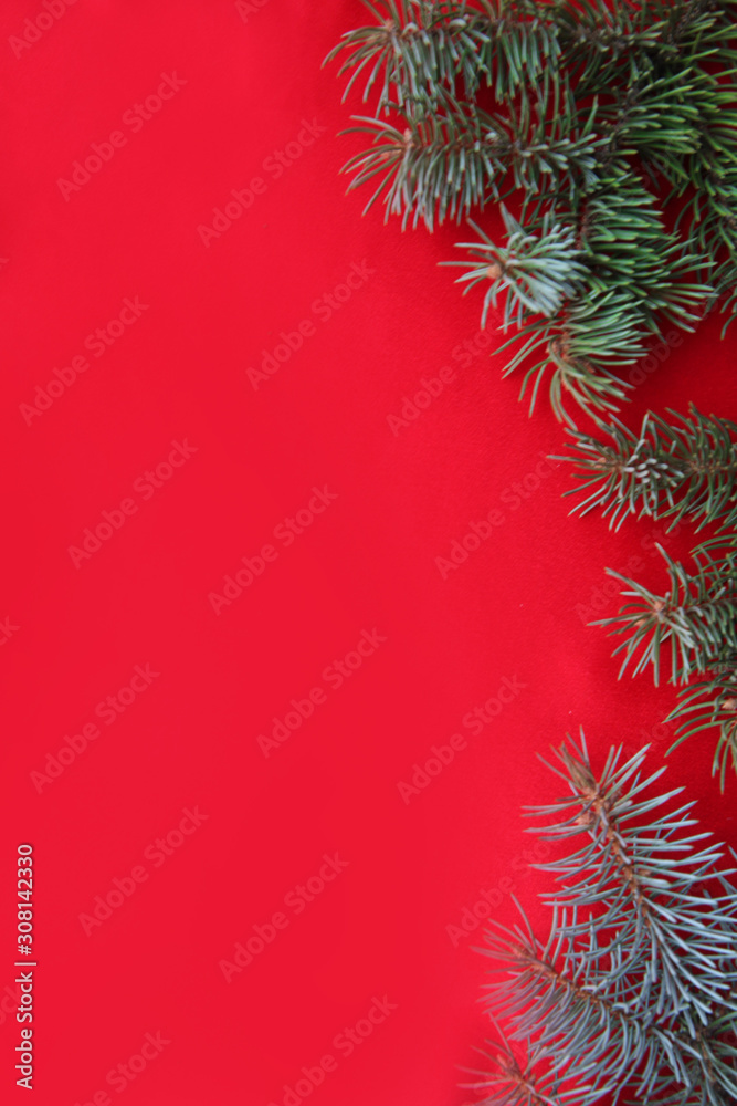 green fir branches on a red background