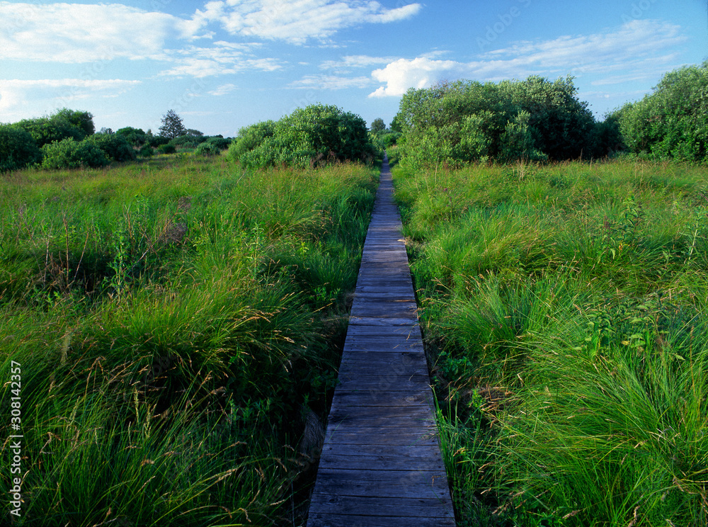 Splawy - nature path, Poleski National Park, Poland Splawy - nature path, Poleski National Park, Poland