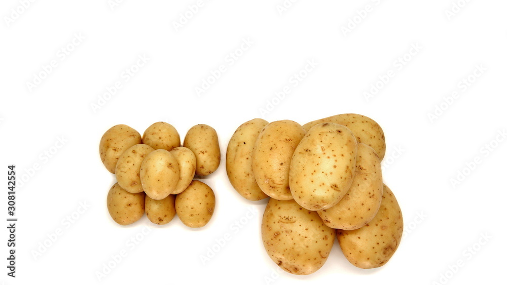 Young white potato, top view. Isolated potatoes on a white background. Fresh food for vegetarians. Raw vegetable, root vegetable. Photo harvesting potatoes for a designer. Young white potato, top view. Isolated potatoes on a white background. Fresh food for vegetarians. Raw vegetable, root vegetable. Photo harvesting potatoes for a designer.