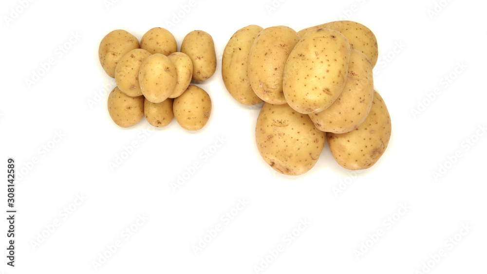 Young white potato, top view. Isolated potatoes on a white background.  Fresh food for vegetarians. Raw vegetable, root vegetable. Photo harvesting potatoes for a designer.