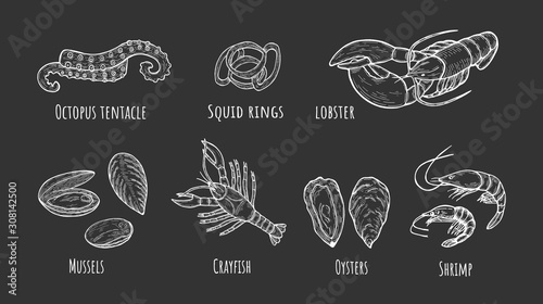 seafood icons set on black background.
