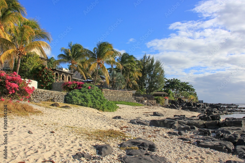 Amazing beautiful exit to shoreline from countryside houses to ocean.Scenic view to coastline sandy beach with black stones and blossom bushes and palm trees in village of tropical island Mauritius Amazing beautiful exit to shoreline from countryside houses to ocean.Scenic view to coastline sandy beach with black stones and blossom bushes and palm trees in village of tropical island Mauritius