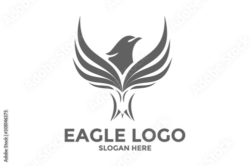 Fototapeta Naklejka Na Ścianę i Meble -  Eagle logo design vector template