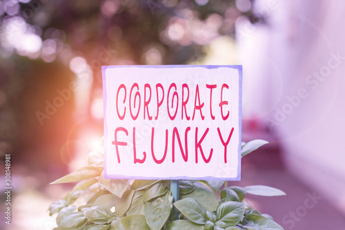 Writing note showing Corporate Flunky. Business concept for someone who works obediently for another demonstrating in company Plain paper attached to stick and placed in the grassy land