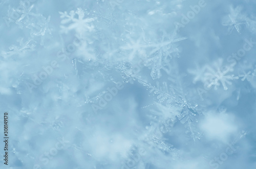 Defocused macro photography of snowflakes as a natural winter background in light blue. Shallow depth of field, close-up.