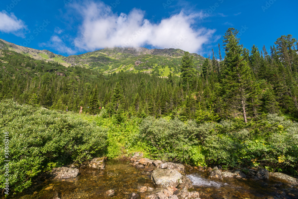 Mountain stream in the Siberian forest Mountain stream in the Siberian forest