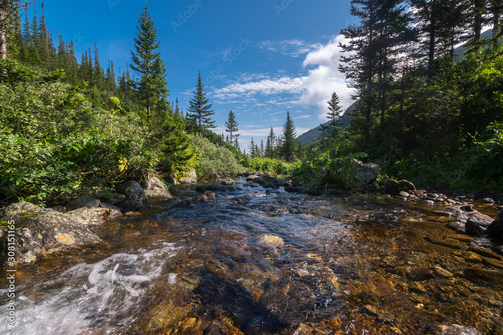 Mountain stream in the Siberian forest Mountain stream in the Siberian forest