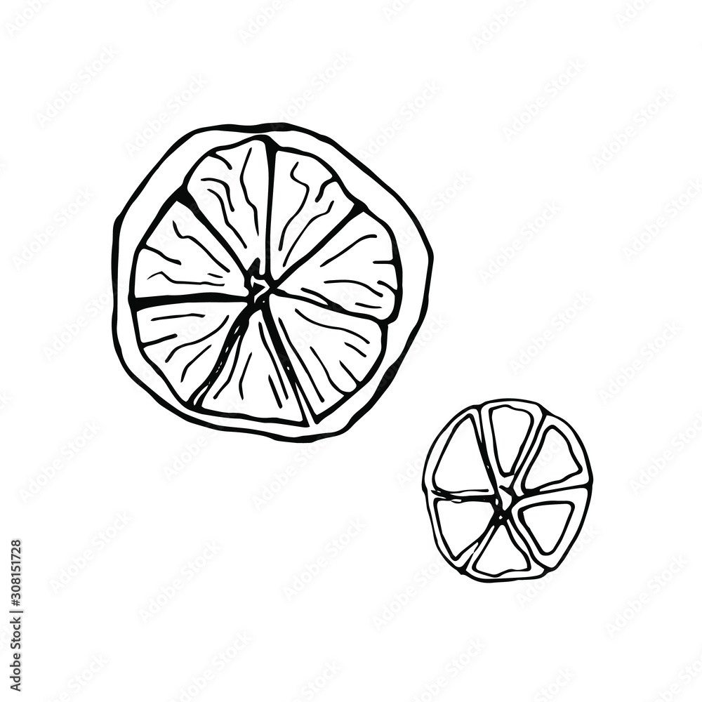 Cute element in doodle style Orange slice. Hand drawn vector illustration. Trendy design elements for holiday greeting cards, posters, stickers decoration decor. Isolated on white background Cute element in doodle style Orange slice. Hand drawn vector illustration. Trendy design elements for holiday greeting cards, posters, stickers decoration decor. Isolated on white background