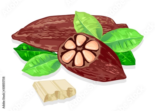 Delicious white chocolate bar made from cocoa beans. Fresh cacao pods and green leaves. Organic natural product. Source of carbohydrate. Sweet snack. Vector realistic isolated illustration.