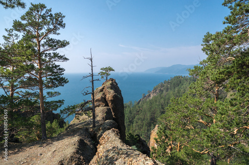 A lonely tree grows on the edge of a cliff above Lake Baikal photo