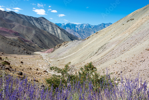 Ladakh, India - Aug 23 2019 - Beautiful scenic view from Between Hemis Shukpachan and Tingmosgang (Temisgam) in Sham Valley, Ladakh, Jammu and Kashmir, India. photo