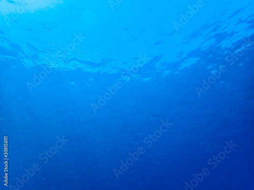 Underwater scene and sunbeam © tonguy324