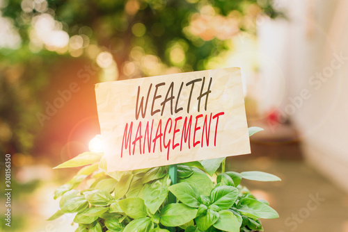 Word writing text Wealth Management. Business photo showcasing perforanalysisce tracking of the funds as per regular market Plain empty paper attached to a stick and placed in the green leafy plants photo