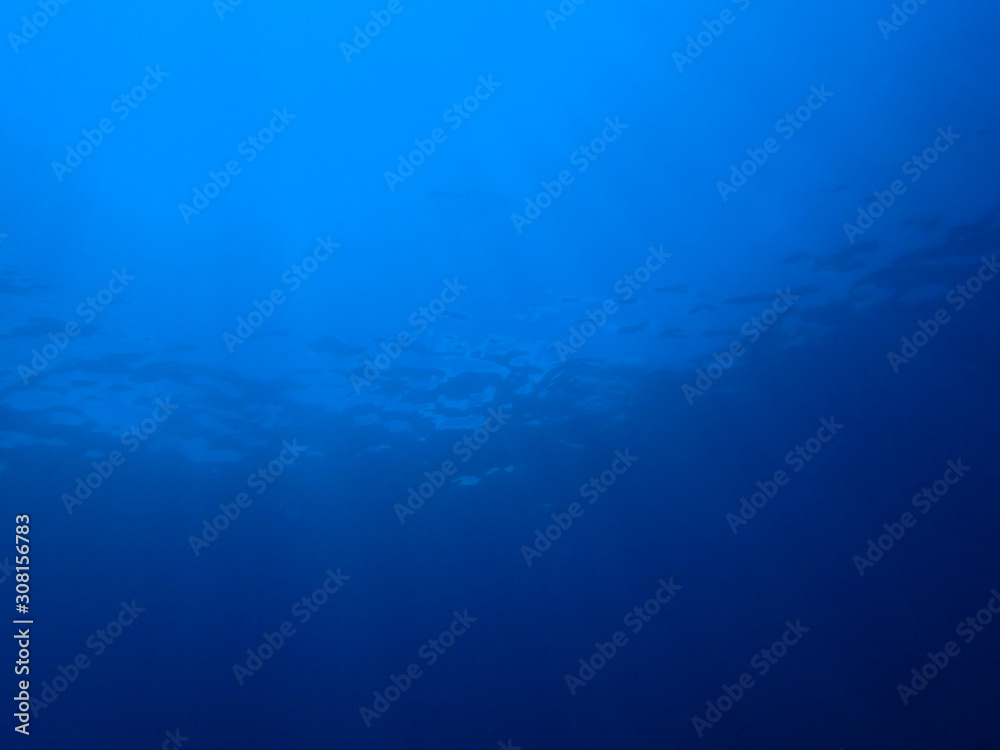 Underwater scence