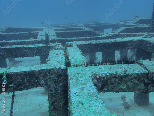 Fototapeta Naklejka Na Ścianę i Meble -  Artificial reef structure in the coral reef