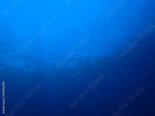Underwater scence