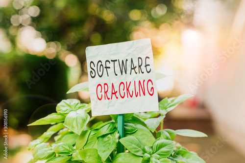 Word writing text Software Cracking. Business photo showcasing modification of software to remove or disable features Plain empty paper attached to a stick and placed in the green leafy plants © Artur