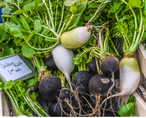 Diakon and Black Spanish Radishes for Sale photo