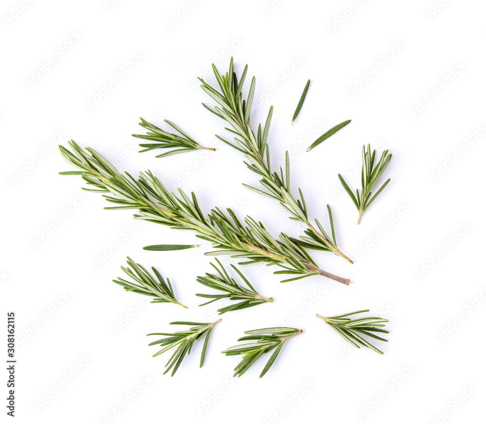 fresh rosemary isolated on white background. Top view fresh rosemary isolated on white background. Top view
