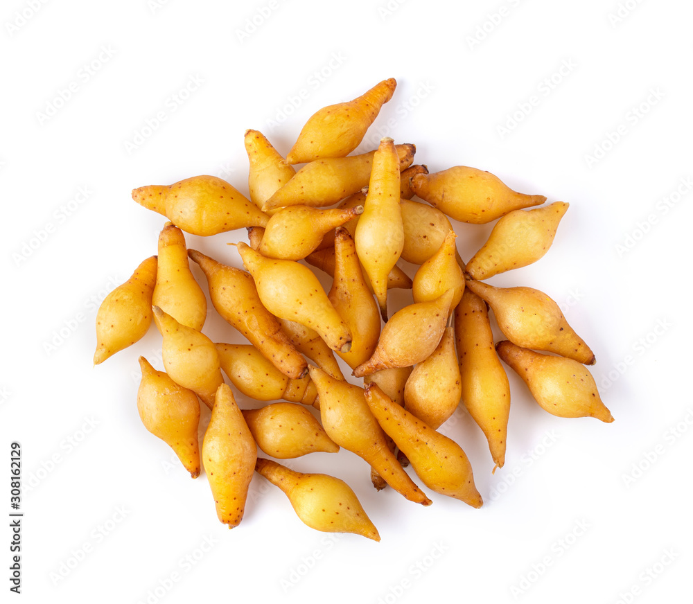 finger root on white background finger root on white background