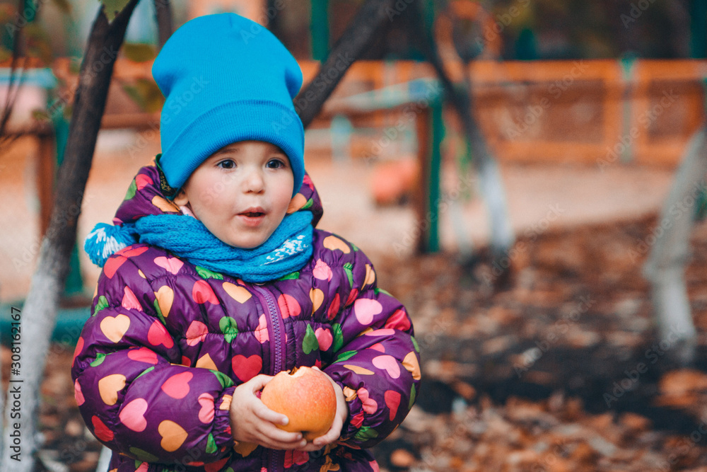a small child with red apple in a warm suit walks in the woods. autumn park. The concept of children's fashion, accessories, outdoor walks a small child with red apple in a warm suit walks in the woods. autumn park. The concept of children's fashion, accessories, outdoor walks
