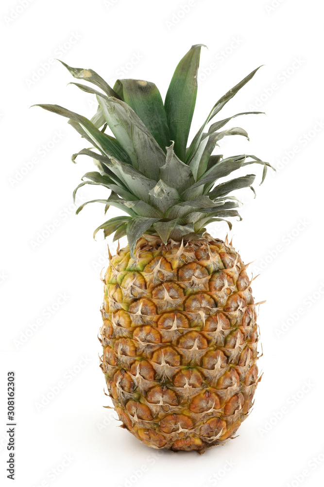 Fototapeta premium one ripe pineapple on white background