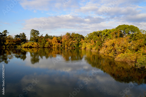 Fototapeta Naklejka Na Ścianę i Meble -  冬の雲が浮かぶ青空が池の水面に映り込んでいる初冬の風景