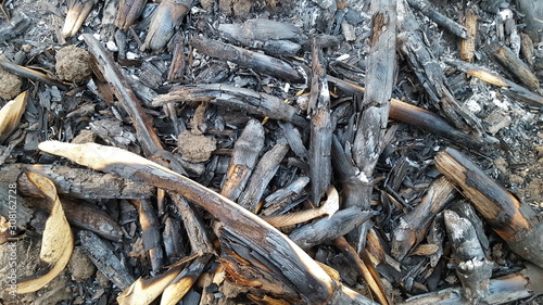 Corn stalks are piled up and burned as natural fertilizer when entering the rainy season and planting changes