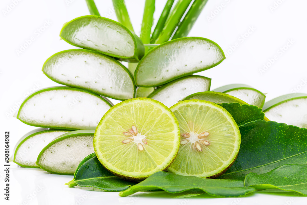 Aloe vera sliced isolated on white background Aloe vera sliced isolated on white background