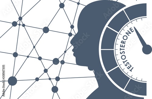 Hormone testosterone level measuring scale. Health care concept illustration. Head of man silhouette. Connected lines with dots