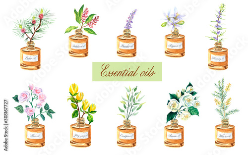 Watercolor set with bottles of essential oils: aroma herbs in small bottles © Елизавета Порошина