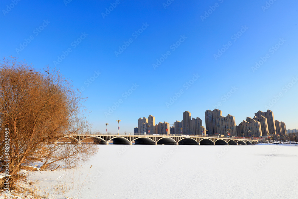 Urban bridges in snow