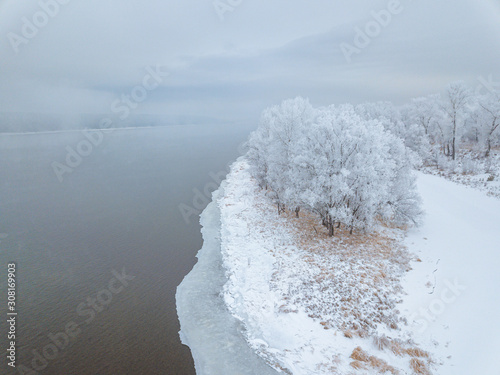 Forest near to Enisey photo