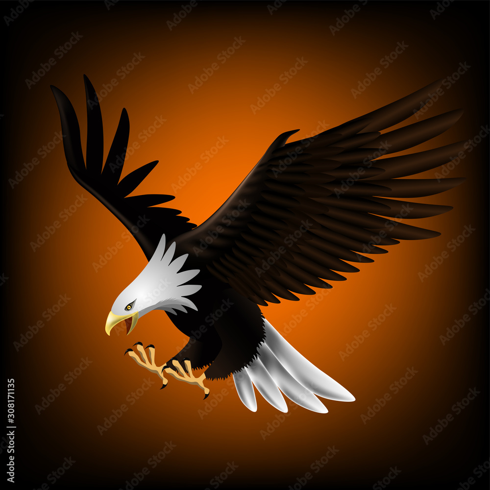 Vector illustration of an eagle that is flying down and catching prey. It is beautiful and elegant. Vector illustration of an eagle that is flying down and catching prey. It is beautiful and elegant.
