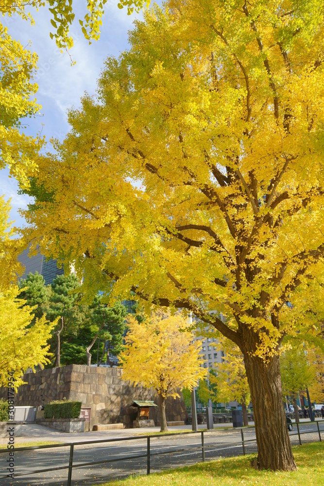 Fototapeta premium 東京駅丸の内オフィスビル